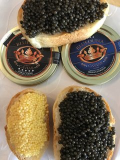 caviar_004.jpg